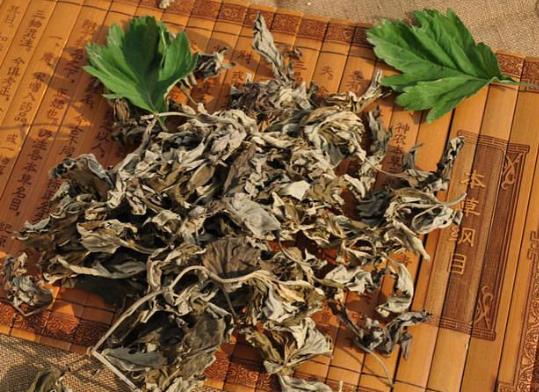 Ȱ~ˮܜpʆ᣿~_12ļٵģ