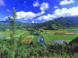 世界上最高的高原是什么？青藏高原的形成原因