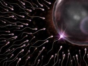 ӳɻʵôkӳɻʵͳʲôʳ