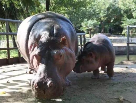 Їʮܚgӭ@VL¡Ұ硢ϺҰ@ܚgӭ