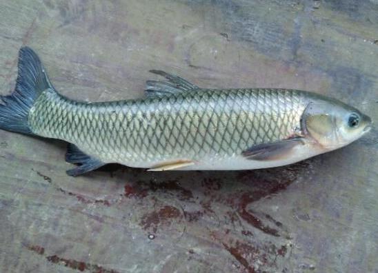 ЇԵʮNˮ~~_θa~~Ԍ