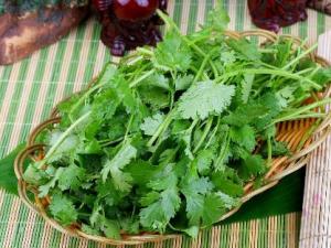 香菜怎么吃？香菜的營養(yǎng)價值、功效與作用