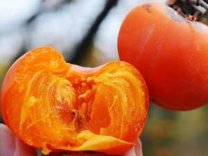 怎么吃柿子不沾手？巧吃柿子不沾手的方法