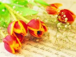 ʲô(ji)ʲôãZcЇͶYû(x)