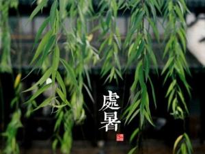 處暑是什么意思？處暑養生注意事項