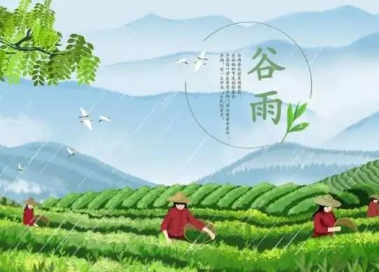 2023年谷雨幾點幾分出來?2023年谷雨是農歷幾月幾日