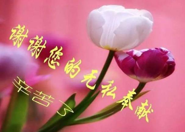 Pٝώăӣx100䣩 ôһԒٝώ