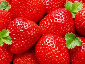 ЋDԳԲݮ᣿ЋDԲݮʲô̎