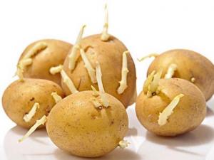 土豆長芽能吃嗎？吃土豆的食用禁忌