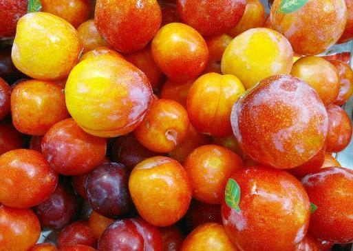 李子吃多了會怎么樣?李子一次吃多少合適