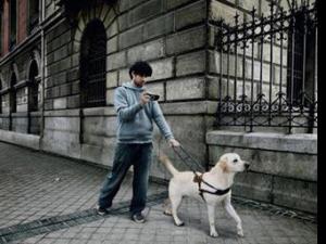 in詞是什么意思？網絡熱語in語是什么意思