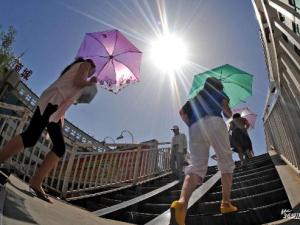 秋老虎是什么意思？秋老虎是什么時候