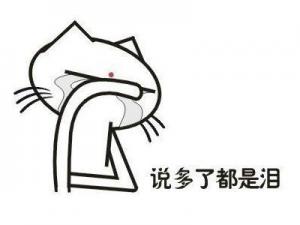 現在整個人都不好了是什么意思？網上出處