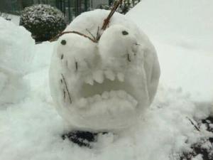 奇葩是什么意思？網(wǎng)絡(luò)用語奇葩男女是什么意思