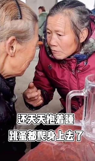 抖音被鄰居大媽支配的恐懼是什么梗?被鄰居大媽支配的恐懼是什么意思