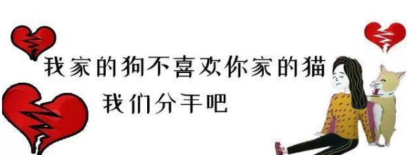 說女的沙是什么意思 分手說沙是什么意思 分手的常見理由