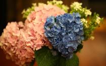 女人怕冷怎么調節？畏寒食譜推薦