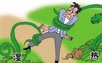  什么是濕熱體質？如何從飲食調理？