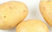 女性冬季怎么進補養顏