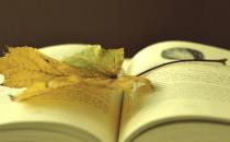 求職路上不要踩到這些雷區(qū)