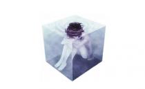 癔癥的臨床表現有哪些