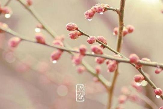 2019年立春是農(nóng)歷幾月幾日 2019年立春時(shí)間