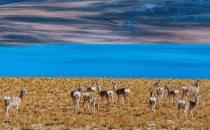 ?高山反應把美好行程變成噩夢 應對高山反應的方法