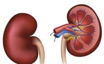 夏天是補腎好時機 中醫教你冬病夏養養出好陽氣