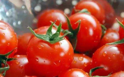 減肥不用節食 10種減肥食物熱量低又飽腹