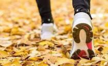 ?上班族秋季養生小常識 白領人士首選食補方案