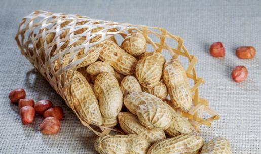 花生正確的吃法不用擔(dān)心發(fā)胖 四類人不宜吃花生