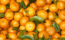 ?常食沙糖桔祛痰平喘調(diào)理脾胃 食用沙糖桔的注意事項(xiàng)