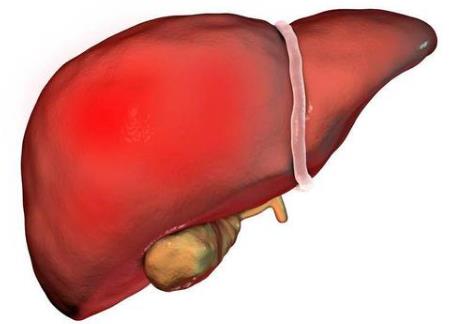 為什么手機是睡眠殺手？習慣性睡前玩手機、長期熬夜玩手機的危害