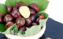 ?干板栗很硬怎么吃 補腎一天吃幾顆板栗好啊