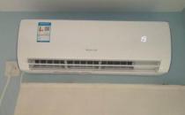 牛蛙價格最新市場價格