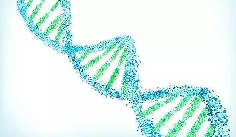 脫氧核糖核酸是什么東西，婦科脫氧核糖核酸是什么東西