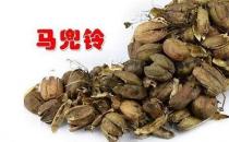 ?馬兜鈴的功效與作用,馬兜鈴的副作用